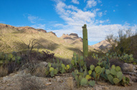 Photo of southwest landscape