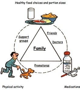 Graphic of three requirements to manage Diabetes; Physical exercise, Nutrition, and Medication