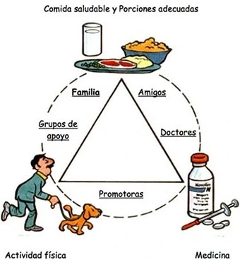 Graphic of proper diet, exercise, and medicine, to manage diabetes