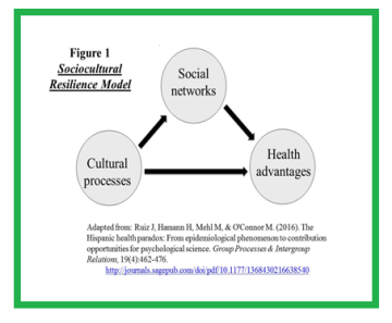 Figure of the Sociocultural Resilience Model 